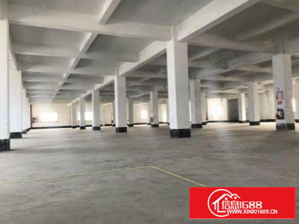 非中介，石碣四甲标准独园厂房可分租位置优美。周边配套齐全。