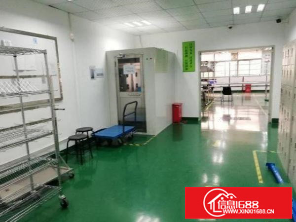 福永白石厦三楼600平米带红本厂房出租，采光好