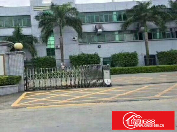 笋！无公摊可办环评！原房东5.5米2000平豪装1楼出租啦！