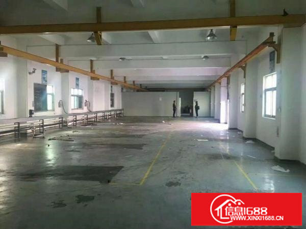 横岗大康78015603200平厂房单价18元