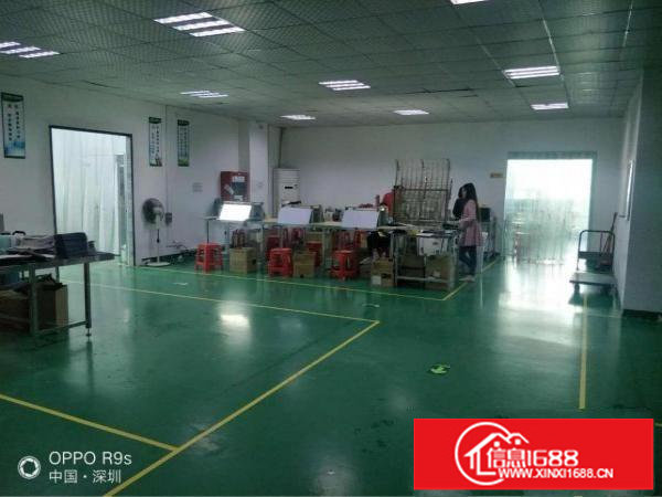 龙华观澜福民楼上1200平带无尘车间标准厂房