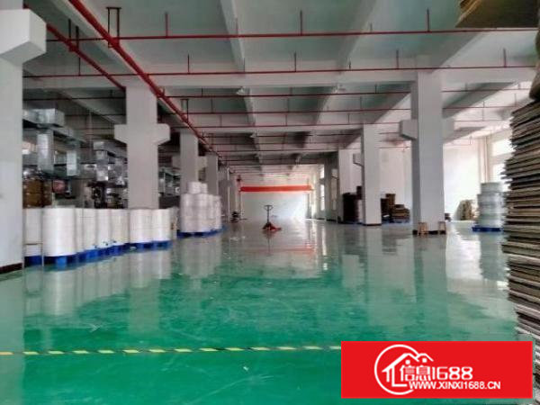 原房东独门独院空地大分租厂房