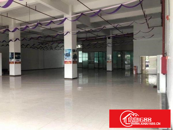 大朗镇富民大道边上展厅招租900平方带豪华装修