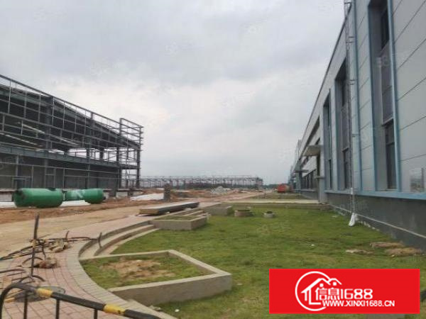 南海区丹灶镇生态园全新钢结构厂房70000平方可以分租