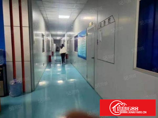 新出独院厂房招租！交通便利带行车水电齐全配3吨电梯