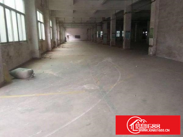 惠阳新墟800平方一楼出租可分可整高6米