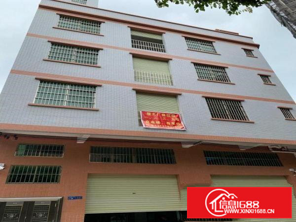 大朗镇长塘村全新房屋屋主直租