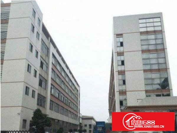 常平苏坑下付路新出标准一楼厂房900平米带装修