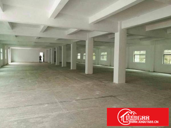 独院标准厂房招租，交通方便，园区空间大