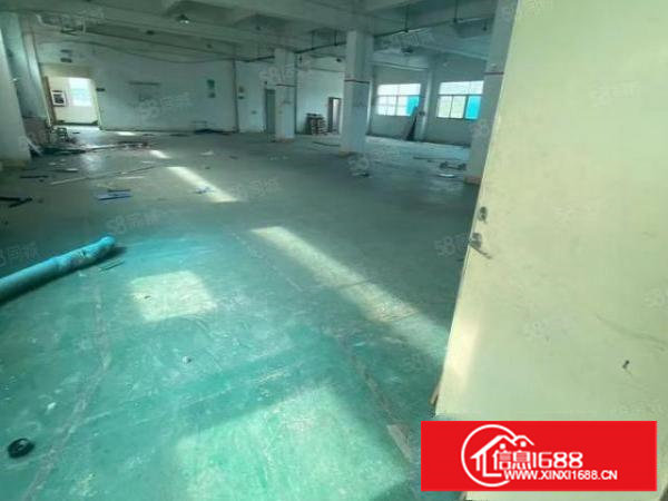 塘厦靠牛湖独院2楼800平，实拍图片，水电齐全