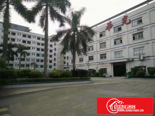 布吉甘坑近高速口1100平一楼钢构