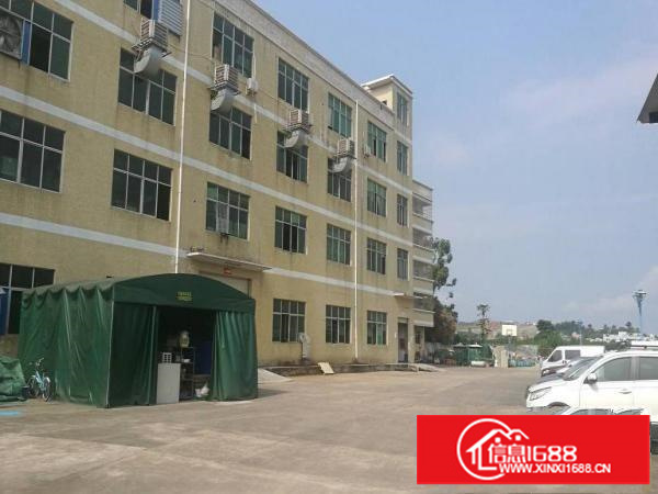 南联一楼便宜厂房1250平方可分租