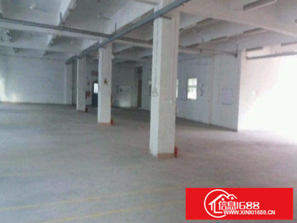 横岗六约地铁站标准厂房一楼1350平出租带精装修水电齐全