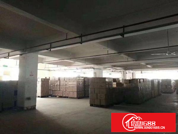 龙华清湖地铁站新出5200平米标准厂房，大小可分租