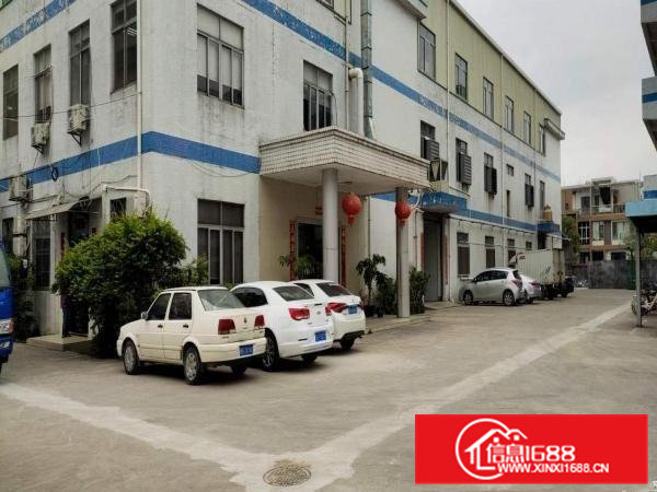 清溪原房东独院5700平米，带宿舍，电315租20