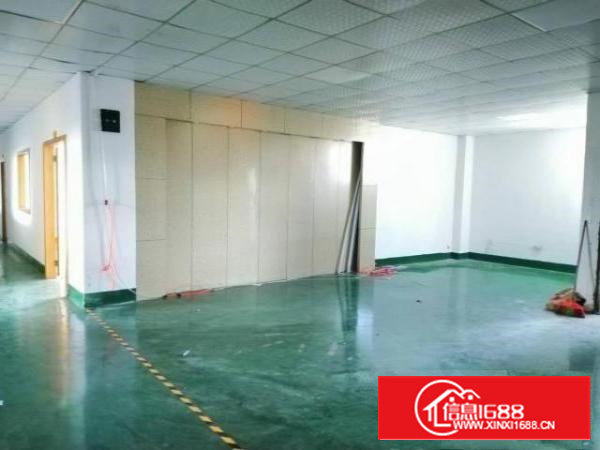 沙井东环路原房东1300平方精装修出租