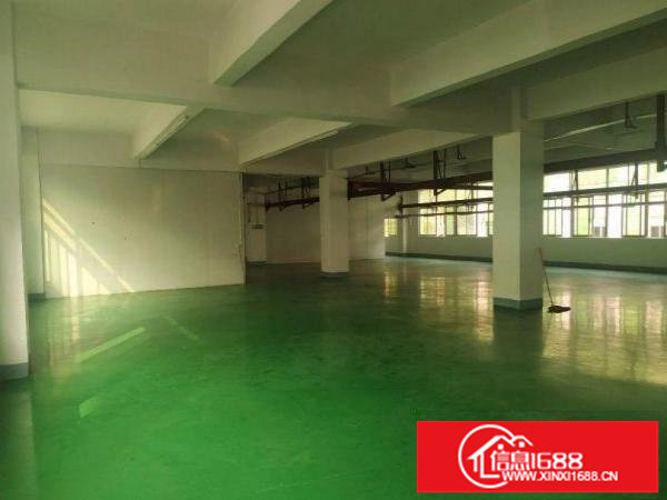 新出带装修无转让费厂房便宜出租大小分