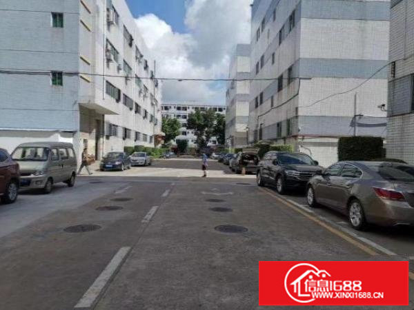 福永107国道边上一楼800平厂房出租