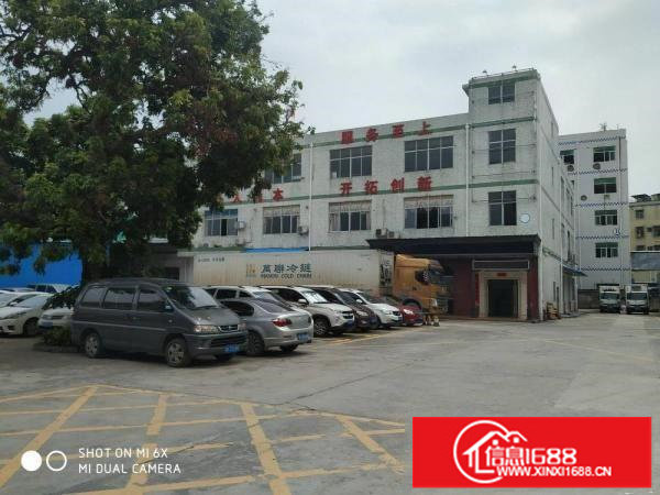 坪山碧岭厂房3楼1800平米独立电梯