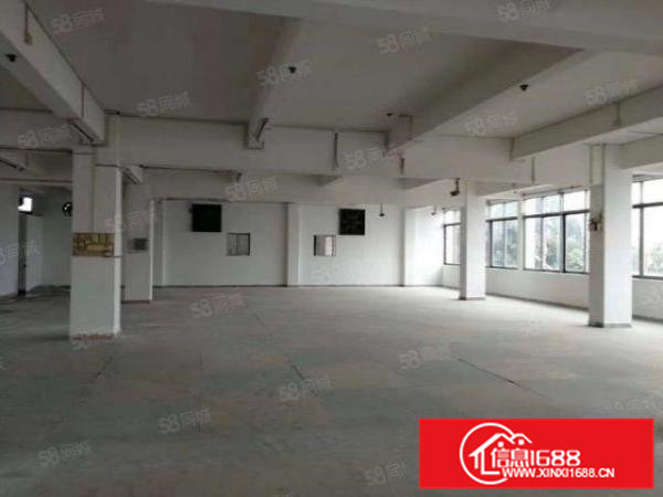 高埗镇百贸物流附近大型工业园区独栋厂房出租