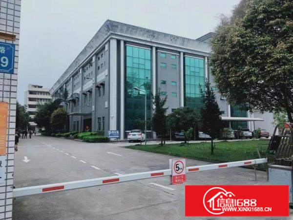 常平新出原房东标准厂房6000平方出租