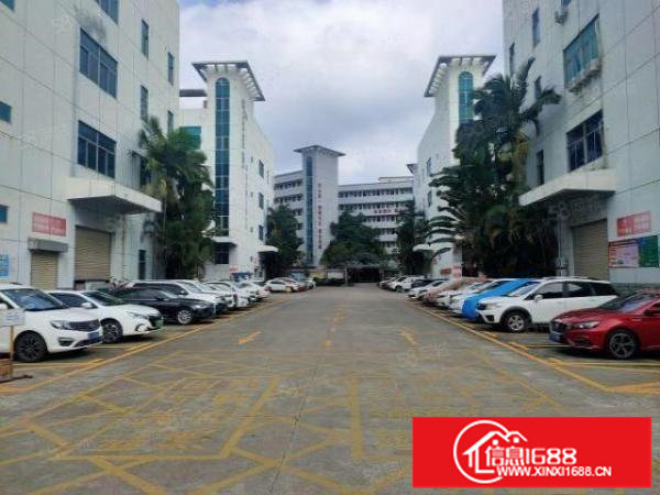 龙华大浪原房东独门独院仓库厂房出租精装修2505平出租可分租