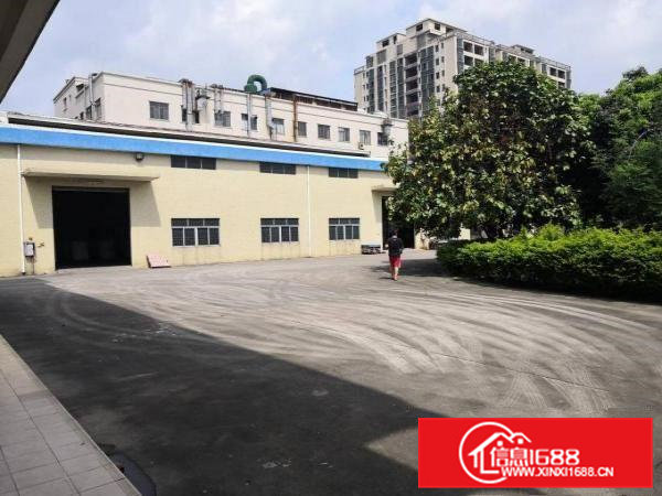 石排独院3600平方单一层厂房招租，可分租