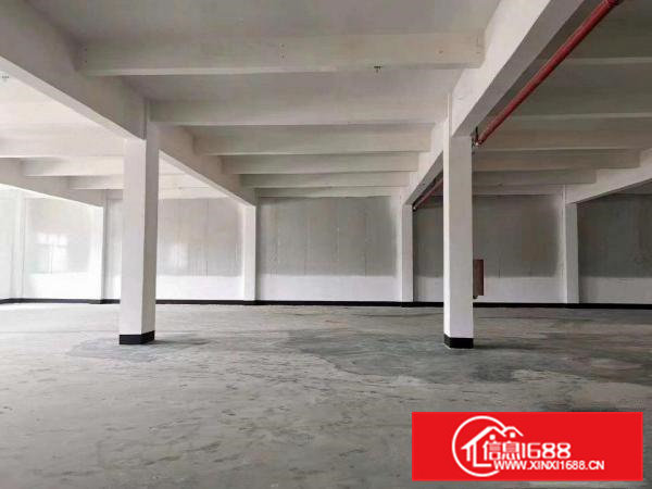 清溪原房东精装厂房出租