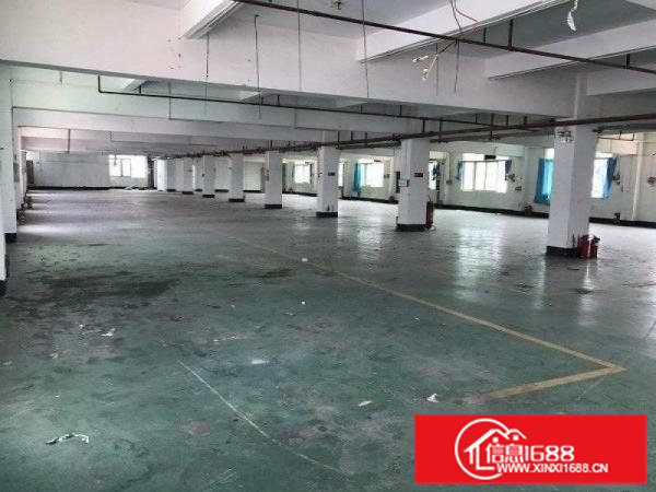 初坑工业区新出3楼1300平方分租