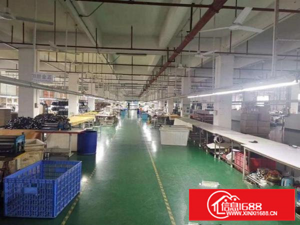 长安原房东低价出租1200平精装修厂房