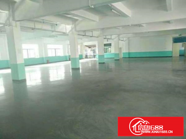 观澜五和大道边承重1吨3一7层各1300平可分租