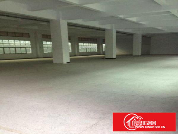 龙岗同乐超靓独院厂房4200平方出租