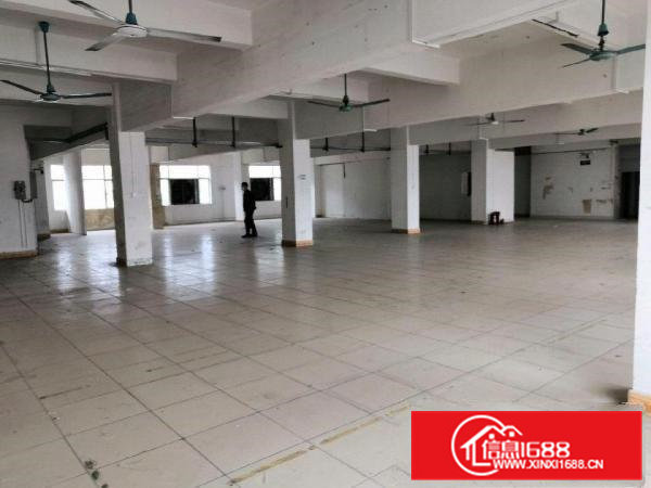 楼高八层，每层700㎡，电梯配套，专人管理，房东直租