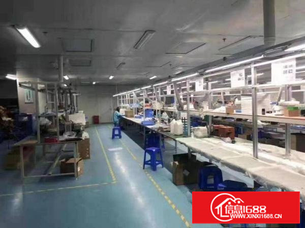 长安厦岗沿江高速附近豪华装修厂房楼上1200平方搬机即可生产