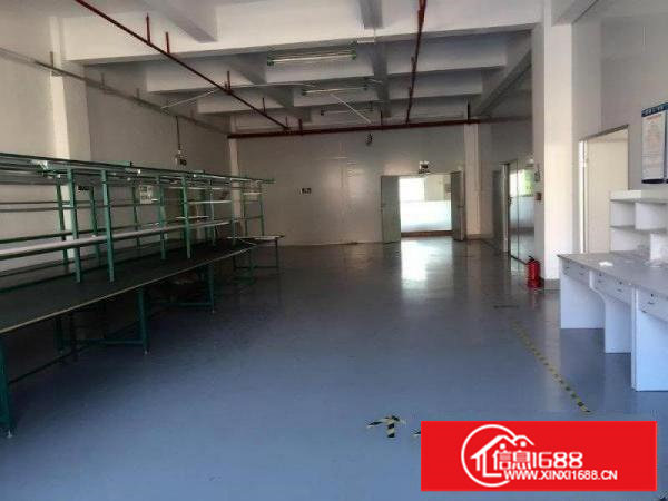 塘厦,标准500平,带消防喷淋地坪漆,精装修办公室