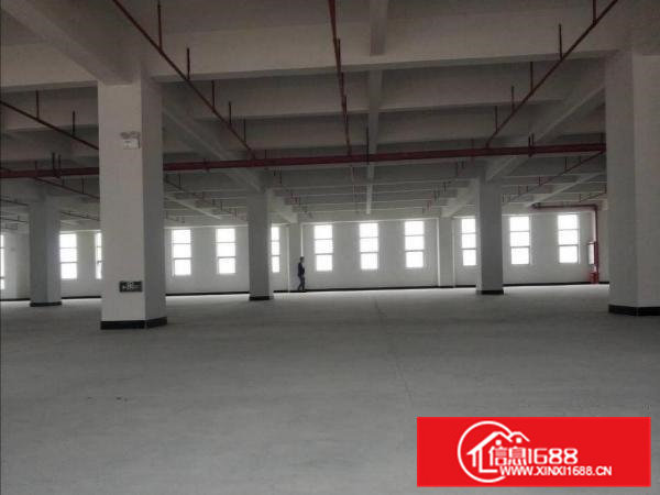 （红本厂房）常平原房东独院厂房3000平方出租