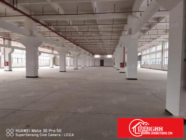 全新空出气派厂房，23000平方。