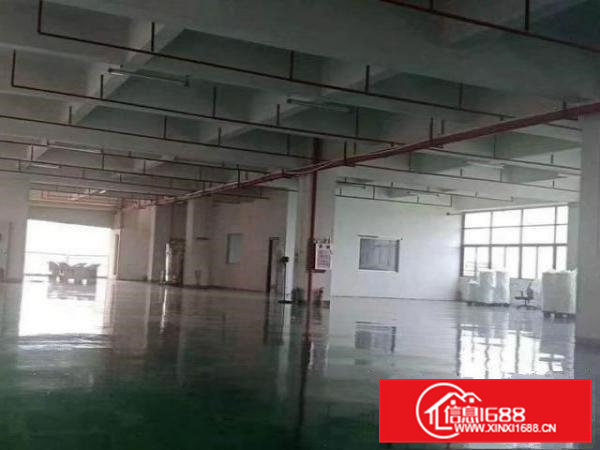 凤岗成熟工业园内出租楼上（豪华装修）厂房1200平水电齐全