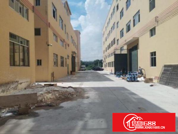 南海丹灶新出标准厂房原房东带消防喷淋带牛腿位两层带电梯