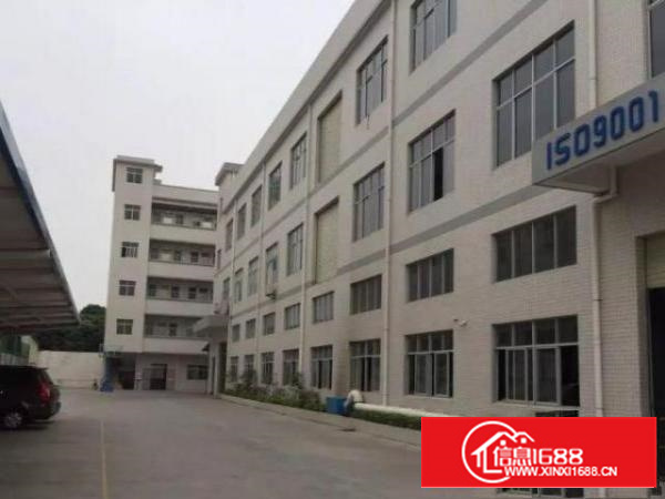 万江2楼1400平形象好带精装修厂房出租可分租