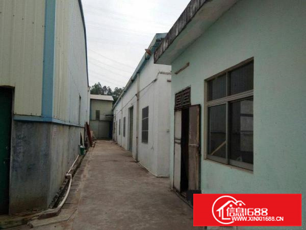 惠阳镇隆550平米单一层钢构厂房出租