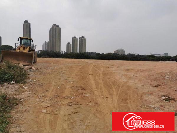 东坑镇空地出租面积10000平方可分租三通一平没硬化地皮出租