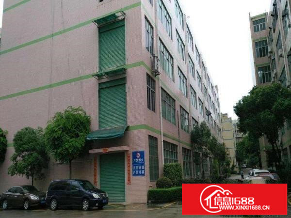 横岗大康路口房东厂房1000平方实际面积出租