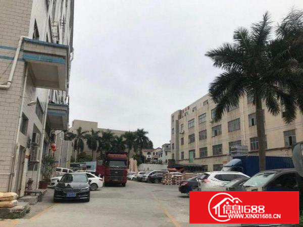 横岗怡锦新出带装修一楼厂房720平出租，周边配套齐全