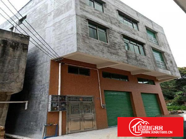 独栋厂房新空出一楼300平方