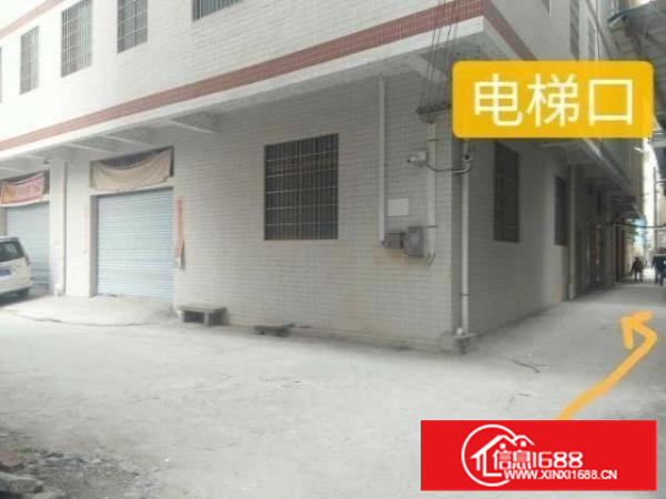 近广州金沙洲里水胜利电梯厂房出租