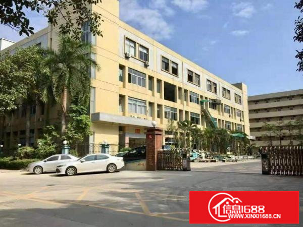 坪山新区原房东红本独院花园式厂房12000招租可办环评