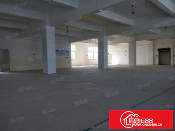 一手业主出租厂房仓库写字楼，面积可分价格可谈