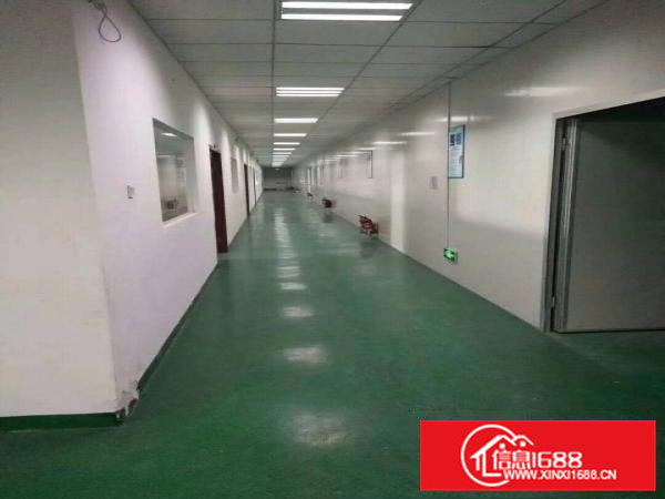 （出租）凤深大道边标准厂房三楼一层共2500平方