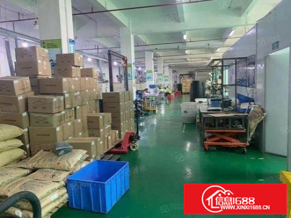 急租，茶山镇新出原房东标准二楼精装修1350平方厂房出租